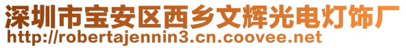 深圳市寶安區(qū)西鄉(xiāng)文輝光電燈飾廠