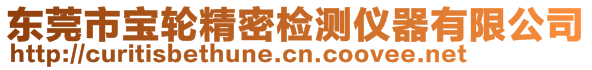 东莞市宝轮精密检测仪器有限公司