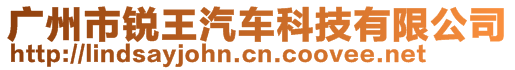 廣州市銳王汽車科技有限公司