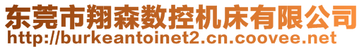 東莞市翔森數(shù)控機床有限公司