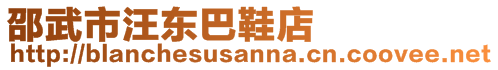 邵武市汪東巴鞋店