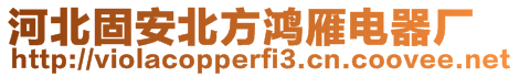 河北固安北方鴻雁電器廠