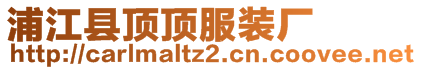 浦江縣頂頂服裝廠