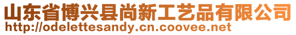 山東省博興縣尚新工藝品有限公司