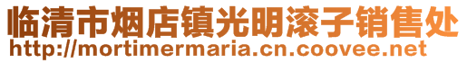 临清市烟店镇光明滚子销售处