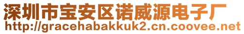 深圳市宝安区诺威源电子厂