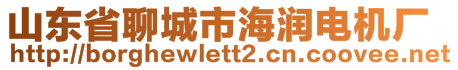 山東省聊城市海潤電機(jī)廠