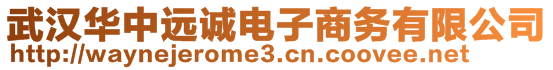 武漢華中遠(yuǎn)誠電子商務(wù)有限公司