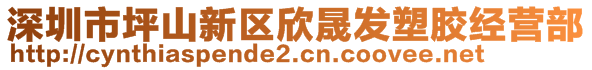 深圳市坪山新區(qū)欣晟發(fā)塑膠經(jīng)營部