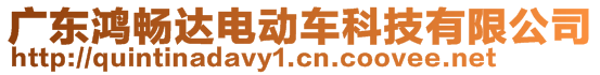 廣東鴻暢達(dá)電動(dòng)車科技有限公司