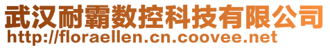 武汉耐霸数控科技有限公司