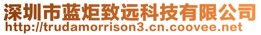 深圳市藍炬致遠科技有限公司
