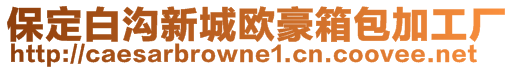 保定白溝新城歐豪箱包加工廠