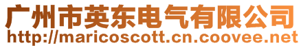 廣州市英東電氣有限公司