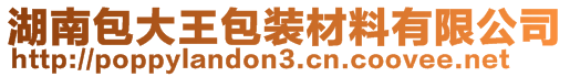 湖南包大王包装材料有限公司