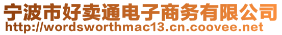 寧波市好賣通電子商務有限公司