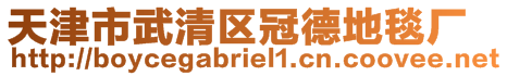 天津市武清區(qū)冠德地毯廠