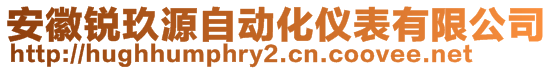 安徽銳玖源自動(dòng)化儀表有限公司