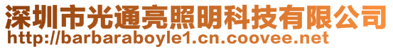 深圳市光通亮照明科技有限公司