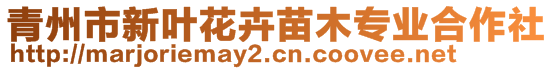 青州市新葉花卉苗木專(zhuān)業(yè)合作社