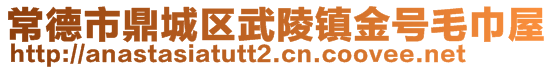 常德市鼎城區(qū)武陵鎮(zhèn)金號毛巾屋