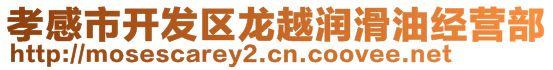 孝感市開發區龍越潤滑油經營部
