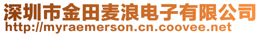 深圳市金田麥浪電子有限公司