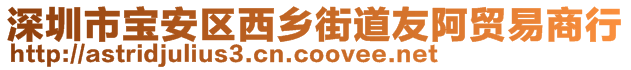 深圳市宝安区西乡街道友阿贸易商行