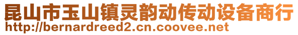 昆山市玉山镇灵韵动传动设备商行