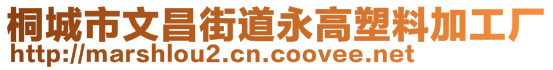 桐城市文昌街道永高塑料加工廠