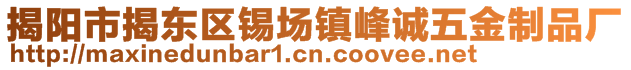 揭陽市揭東區(qū)錫場鎮(zhèn)峰誠五金制品廠