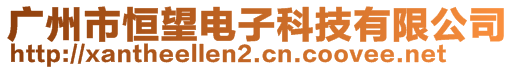 广州市恒望电子科技有限公司