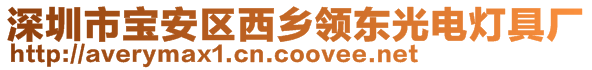 深圳市宝安区西乡领东光电灯具厂