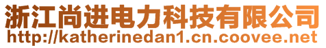 浙江尚進(jìn)電力科技有限公司