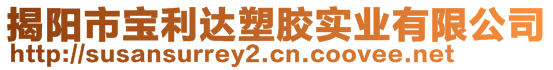 揭陽(yáng)市寶利達(dá)塑膠實(shí)業(yè)有限公司