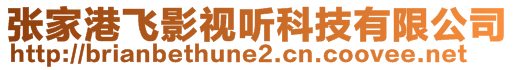 張家港飛影視聽科技有限公司