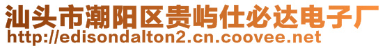 汕頭市潮陽區(qū)貴嶼仕必達電子廠