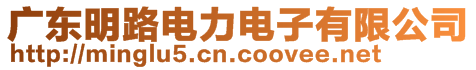 廣東明路電力電子有限公司