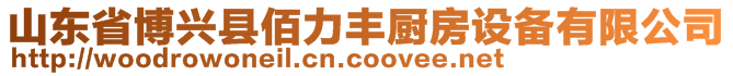 山東省博興縣佰力豐廚房設備有限公司