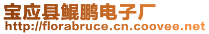 寶應(yīng)縣鯤鵬電子廠