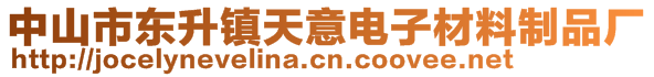 中山市東升鎮(zhèn)天意電子材料制品廠