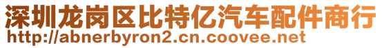 深圳龍崗區(qū)比特億汽車配件商行