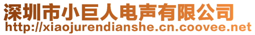 深圳市小巨人电声有限公司