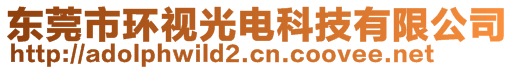 東莞市環(huán)視光電科技有限公司