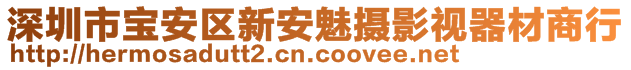 深圳市寶安區(qū)新安魅攝影視器材商行