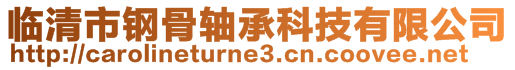 臨清市鋼骨軸承科技有限公司