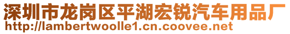 深圳市龍崗區(qū)平湖宏銳汽車(chē)用品廠