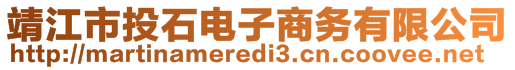 靖江市投石電子商務(wù)有限公司
