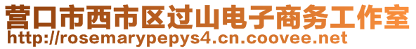 營(yíng)口市西市區(qū)過(guò)山電子商務(wù)工作室