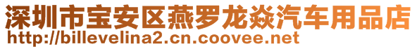 深圳市寶安區(qū)燕羅龍焱汽車用品店